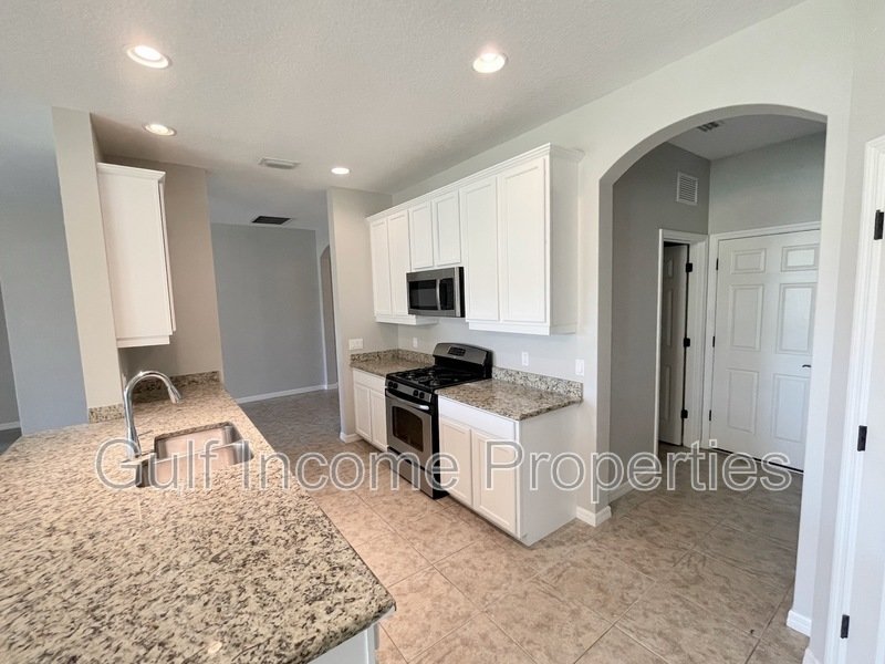 15679 Lemon Fish Drive property image